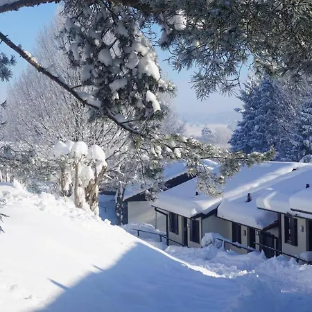 Feriendorf Hochbergle Haus 43 Tatil Evi *